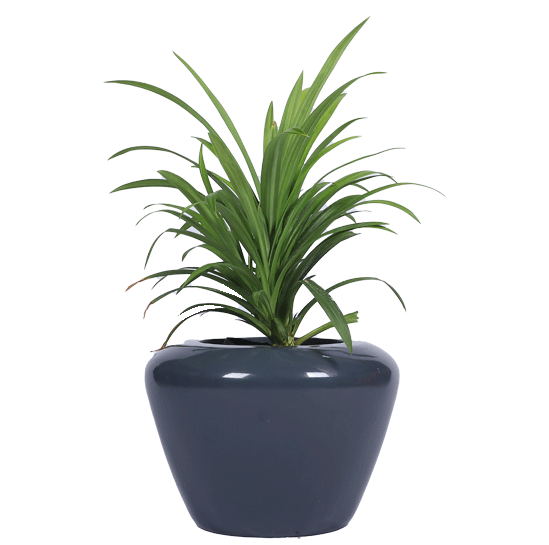 FRP Planter Manufacturers